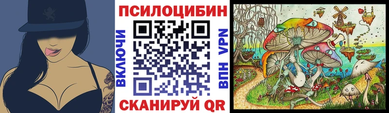 Псилоцибиновые грибы Cubensis  Заволжье 
